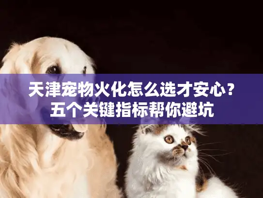 天津宠物火化怎么选才安心？五个关键指标帮你避坑