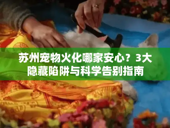 苏州宠物火化哪家安心？3大隐藏陷阱与科学告别指南