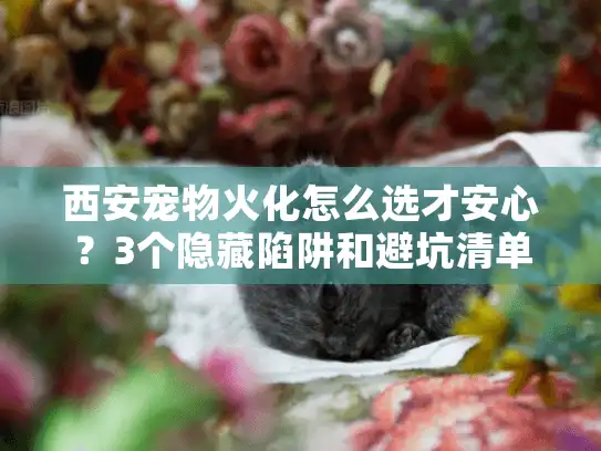 西安宠物火化怎么选才安心？3个隐藏陷阱和避坑清单