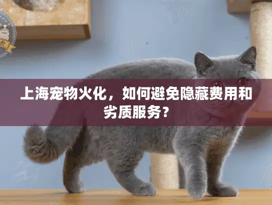 上海宠物火化，如何避免隐藏费用和劣质服务？