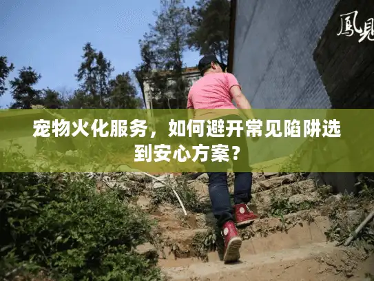 宠物火化服务，如何避开常见陷阱选到安心方案？