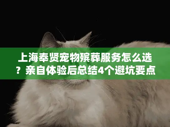 上海奉贤宠物殡葬服务怎么选？亲自体验后总结4个避坑要点