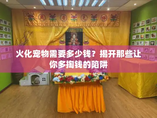 火化宠物需要多少钱？揭开那些让你多掏钱的陷阱