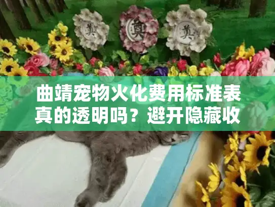 曲靖宠物火化费用标准表真的透明吗？避开隐藏收费的实操指南