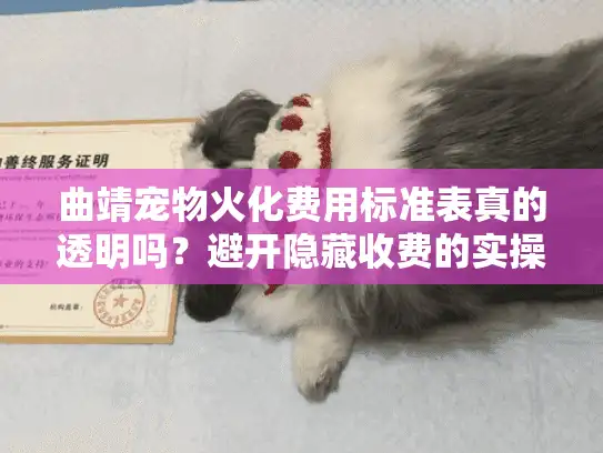 曲靖宠物火化费用标准表真的透明吗？避开隐藏收费的实操指南
