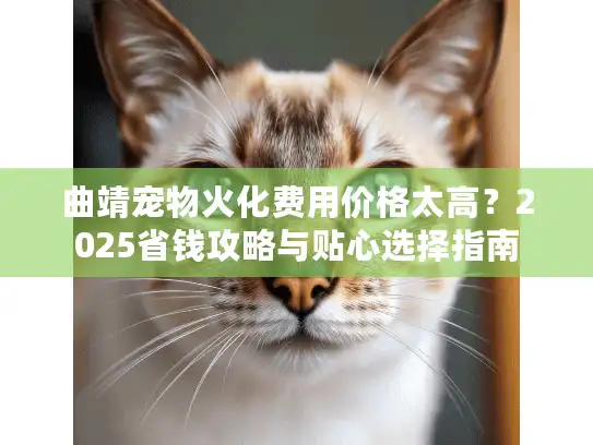 曲靖宠物火化费用价格太高？2025省钱攻略与贴心选择指南