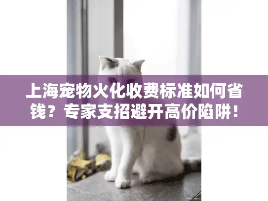 上海宠物火化收费标准如何省钱？专家支招避开高价陷阱！