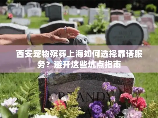 西安宠物殡葬上海如何选择靠谱服务？避开这些坑点指南