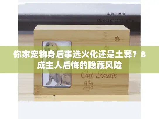 你家宠物身后事选火化还是土葬？8成主人后悔的隐藏风险