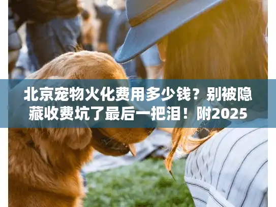 北京宠物火化费用多少钱？别被隐藏收费坑了最后一把泪！附2025年最新价目避坑指南）