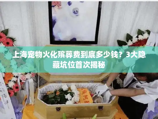 上海宠物火化殡葬费到底多少钱？3大隐藏坑位首次揭秘