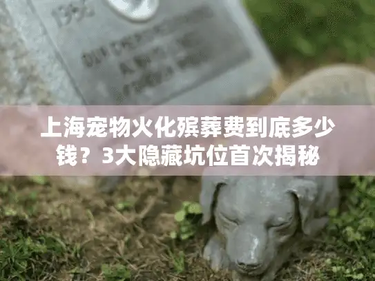 上海宠物火化殡葬费到底多少钱？3大隐藏坑位首次揭秘