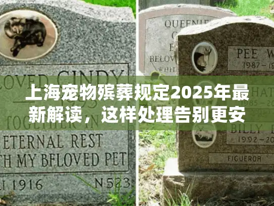 上海宠物殡葬规定2025年最新解读，这样处理告别更安心