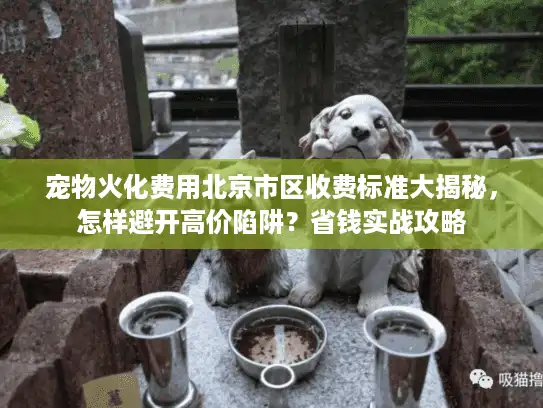 宠物火化费用北京市区收费标准大揭秘，怎样避开高价陷阱？省钱实战攻略