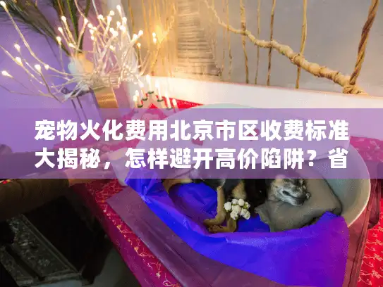 宠物火化费用北京市区收费标准大揭秘，怎样避开高价陷阱？省钱实战攻略