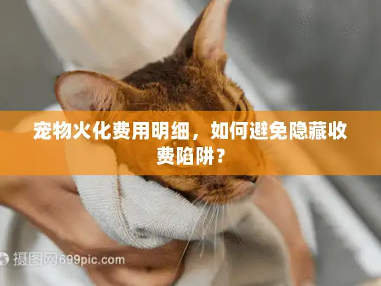 宠物火化费用明细，如何避免隐藏收费陷阱？