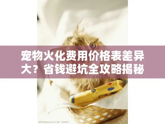 宠物火化费用价格表差异大？省钱避坑全攻略揭秘