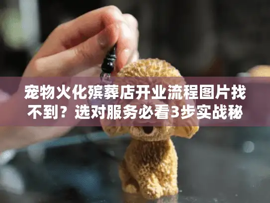 宠物火化殡葬店开业流程图片找不到？选对服务必看3步实战秘诀