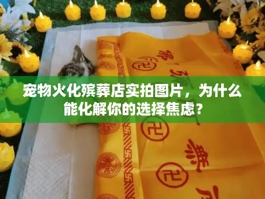 宠物火化殡葬店实拍图片，为什么能化解你的选择焦虑？