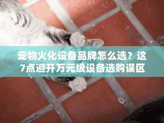 宠物火化设备品牌怎么选？这7点避开万元级设备选购误区