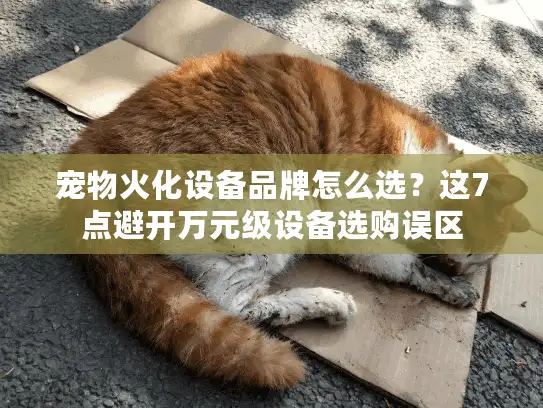 宠物火化设备品牌怎么选？这7点避开万元级设备选购误区