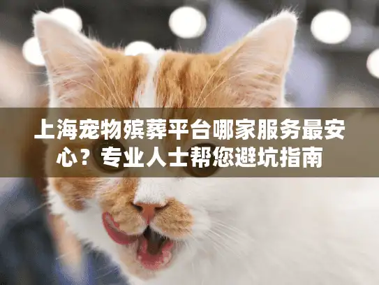 上海宠物殡葬平台哪家服务最安心？专业人士帮您避坑指南
