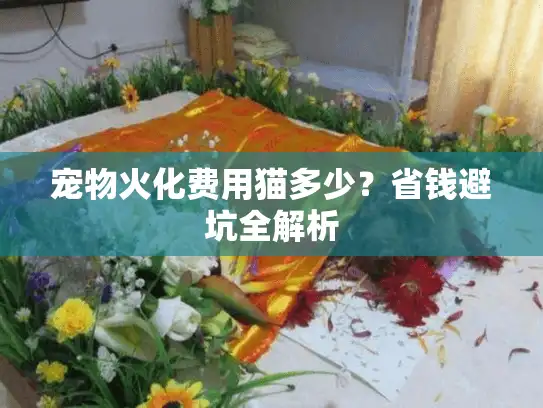 宠物火化费用猫多少？省钱避坑全解析