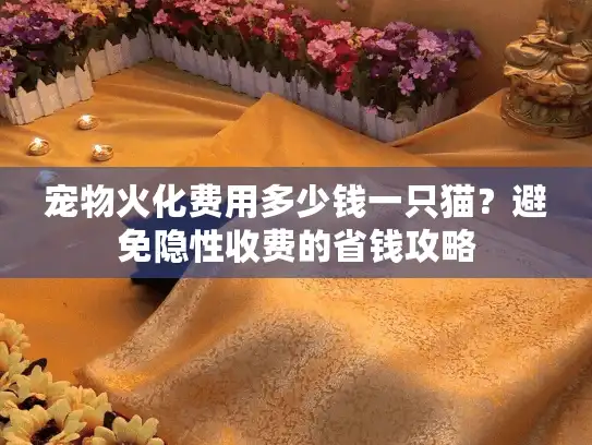 宠物火化费用多少钱一只猫？避免隐性收费的省钱攻略