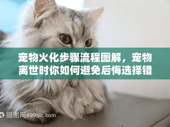 宠物火化步骤流程图解，宠物离世时你如何避免后悔选择错误服务？