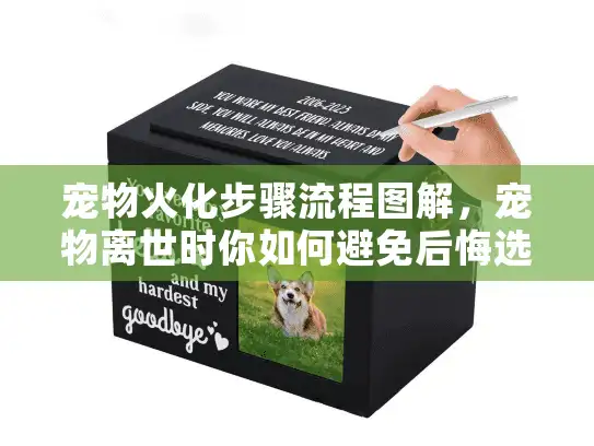 宠物火化步骤流程图解，宠物离世时你如何避免后悔选择错误服务？