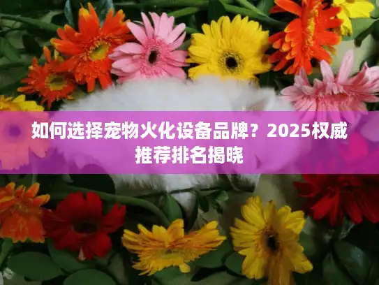 如何选择宠物火化设备品牌？2025权威推荐排名揭晓