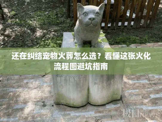 还在纠结宠物火葬怎么选？看懂这张火化流程图避坑指南