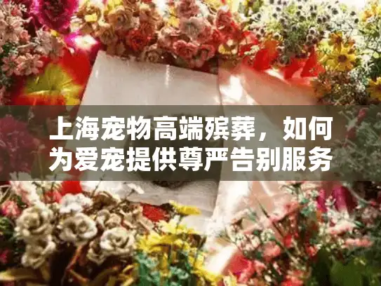 上海宠物高端殡葬，如何为爱宠提供尊严告别服务？