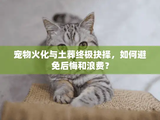 宠物火化与土葬终极抉择，如何避免后悔和浪费？