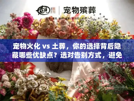 宠物火化 vs 土葬，你的选择背后隐藏哪些优缺点？选对告别方式，避免后悔！