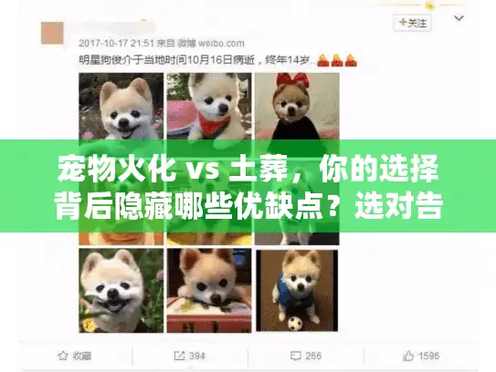 宠物火化 vs 土葬，你的选择背后隐藏哪些优缺点？选对告别方式，避免后悔！