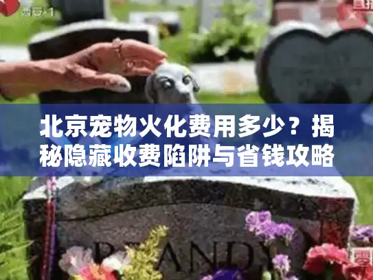 北京宠物火化费用多少？揭秘隐藏收费陷阱与省钱攻略