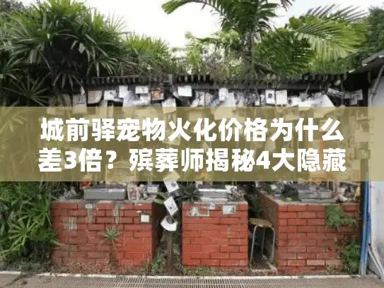 城前驿宠物火化价格为什么差3倍？殡葬师揭秘4大隐藏成本