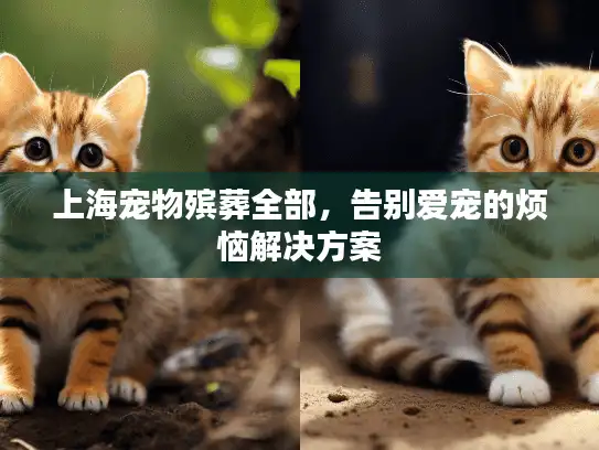 上海宠物殡葬全部，告别爱宠的烦恼解决方案