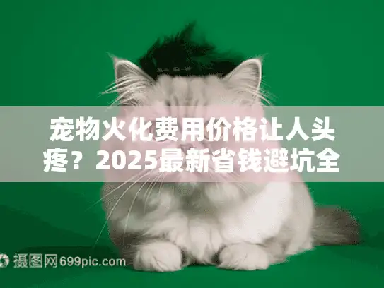 宠物火化费用价格让人头疼？2025最新省钱避坑全攻略