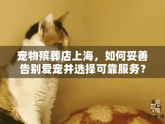 宠物殡葬店上海，如何妥善告别爱宠并选择可靠服务？