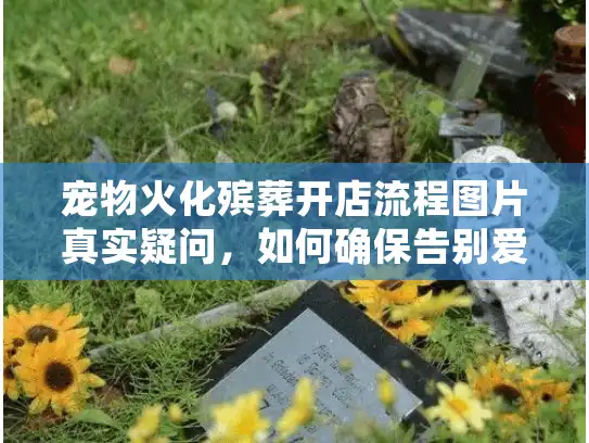 宠物火化殡葬开店流程图片真实疑问，如何确保告别爱宠不被骗？字符数，23，核心关键词前置，长尾词融入）