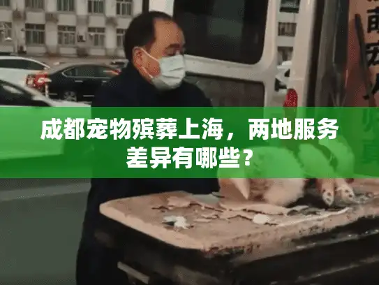 成都宠物殡葬上海，两地服务差异有哪些？