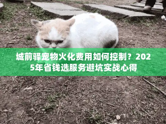 城前驿宠物火化费用如何控制？2025年省钱选服务避坑实战心得