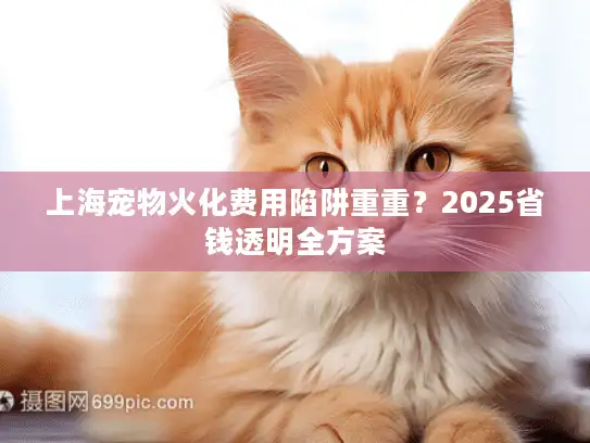 上海宠物火化费用陷阱重重？2025省钱透明全方案