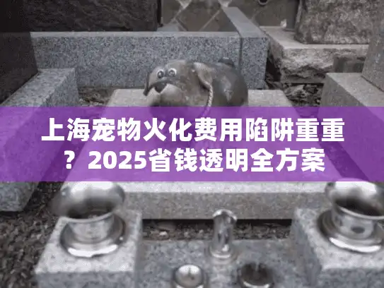上海宠物火化费用陷阱重重？2025省钱透明全方案