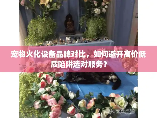 宠物火化设备品牌对比，如何避开高价低质陷阱选对服务？