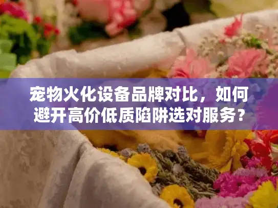 宠物火化设备品牌对比，如何避开高价低质陷阱选对服务？