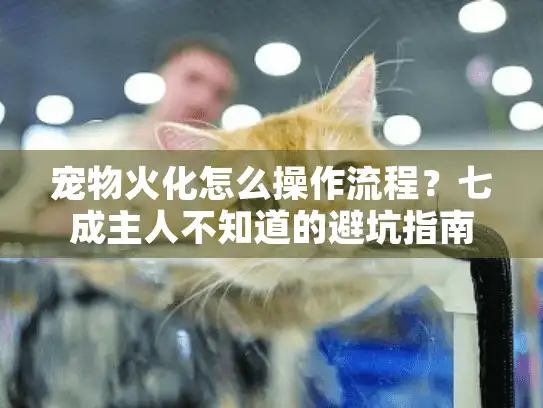 宠物火化怎么操作流程？七成主人不知道的避坑指南