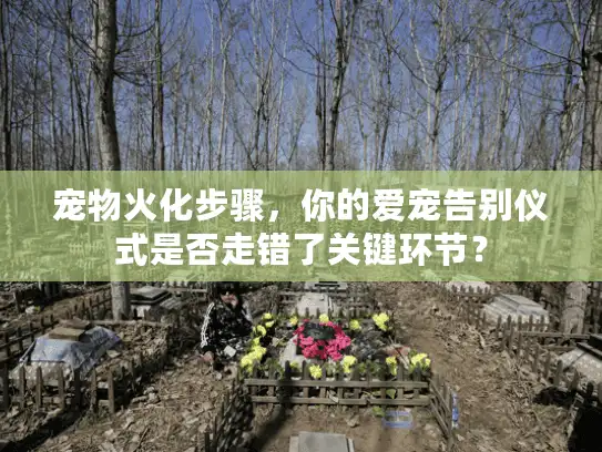 宠物火化步骤，你的爱宠告别仪式是否走错了关键环节？